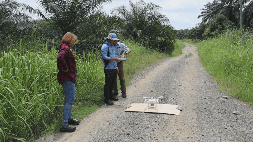 CULTIVATING SUSTAINABLE PARTNERSHIPS