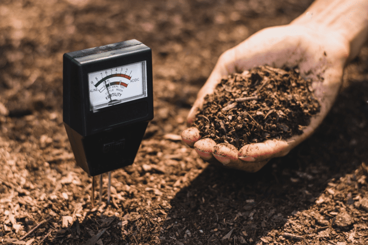 CULTIVATING SUSTAINABLE PARTNERSHIPS