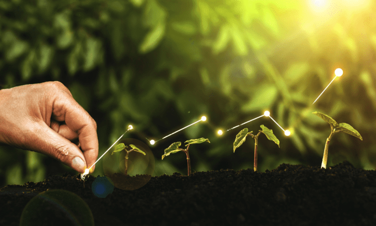 CULTIVATING SUSTAINABLE PARTNERSHIPS